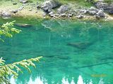 Ausfahrt Dolomiten 04.08.-10.08.2018 118